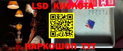 мдпв Камышлов