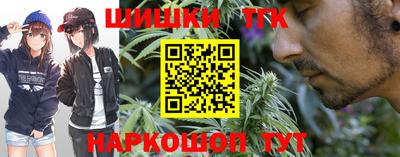 мдпв Камышлов